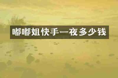 嘟嘟姐快手一夜多少钱
