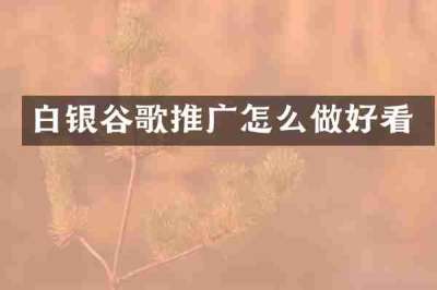 白银谷歌推广怎么做好看