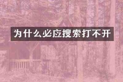 为什么必应搜索打不开