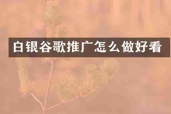 白银谷歌推广怎么做好看