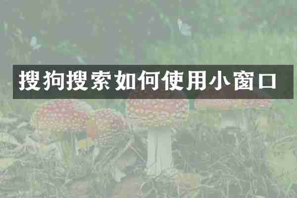 搜狗搜索如何使用小窗口