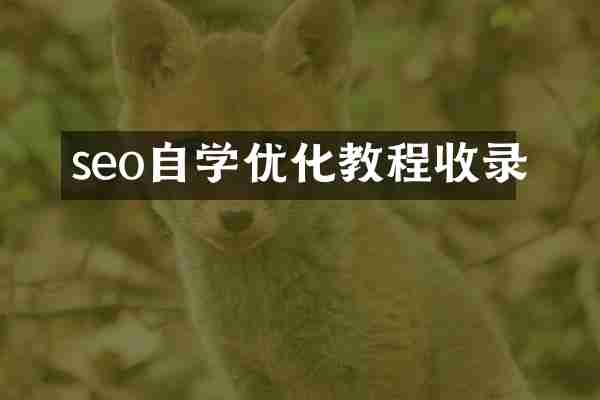 seo自学优化教程收录