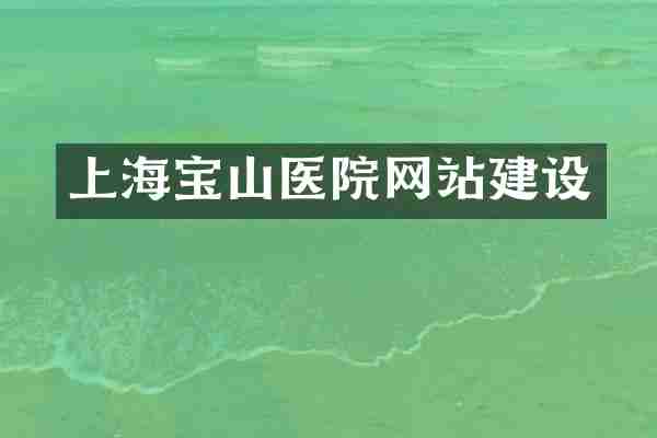 上海宝山医院网站建设