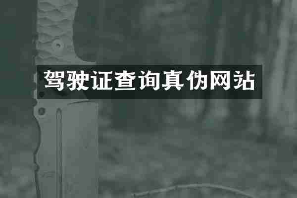 查询真伪网站