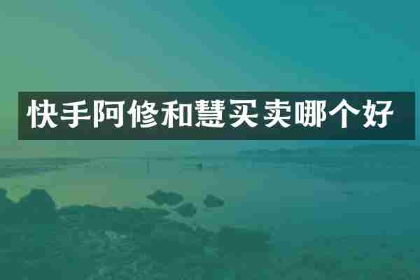 快手阿修和慧买卖哪个好