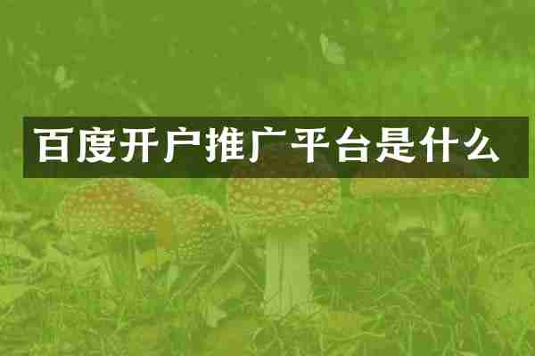 百度开户推广平台是什么