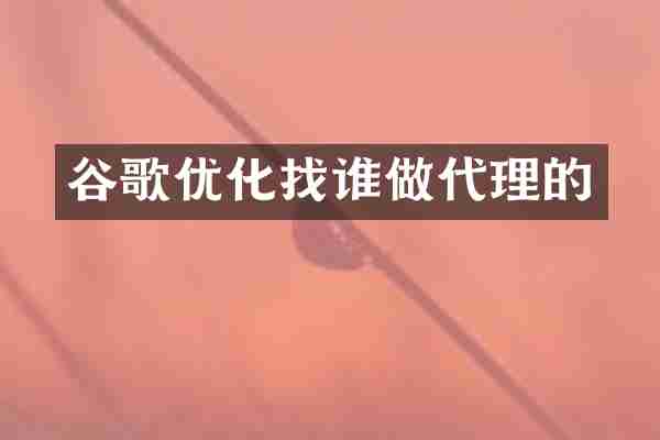 谷歌优化找谁做代理的