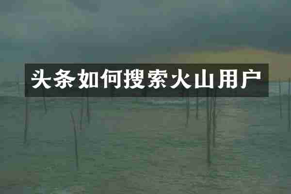头条如何搜索火山用户