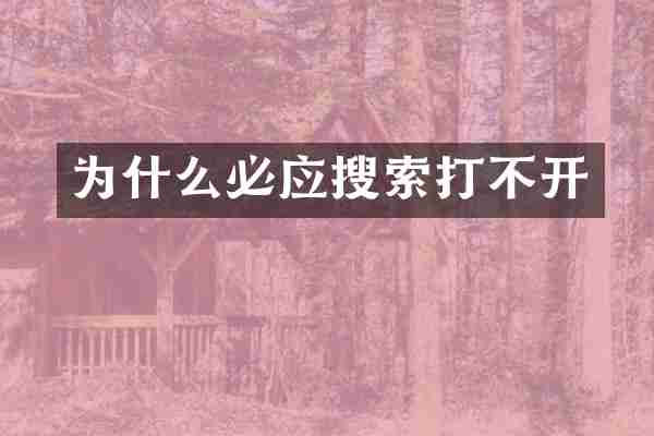 为什么必应搜索打不开