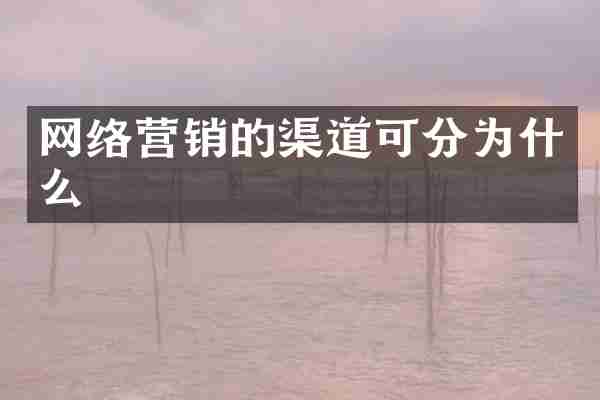 网络营销的渠道可分为什么