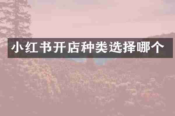 小红书开店种类选择哪个