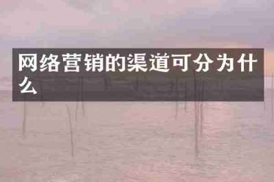 网络营销的渠道可分为什么