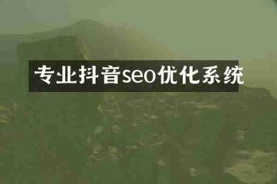 专业抖音seo优化系统