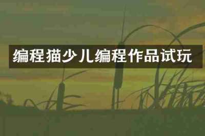 编程猫少儿编程作品试玩