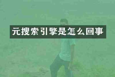 元搜索引擎是怎么回事