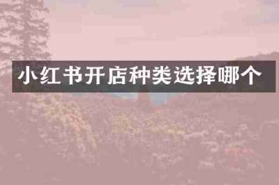 小红书开店种类选择哪个