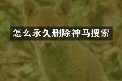 怎么永久删除神马搜索