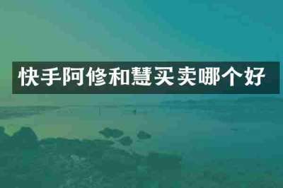 快手阿修和慧买卖哪个好