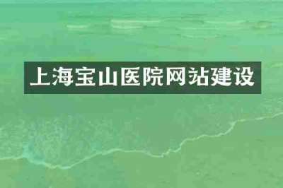 上海宝山医院网站建设