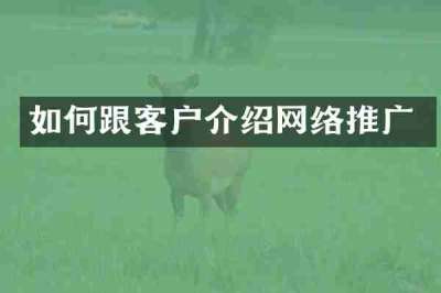 如何跟客户介绍网络推广