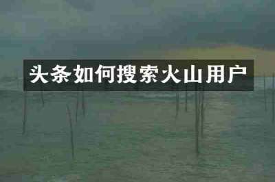 头条如何搜索火山用户
