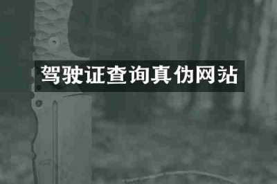 驾驶证查询真伪网站