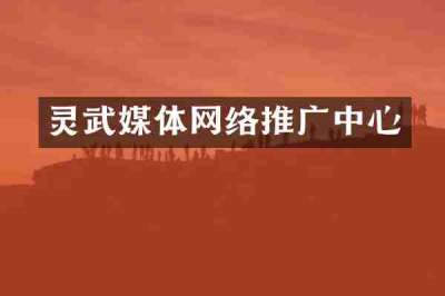 灵武媒体网络推广中心