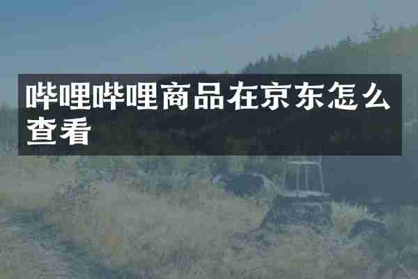 哔哩哔哩商品在京东怎么查看