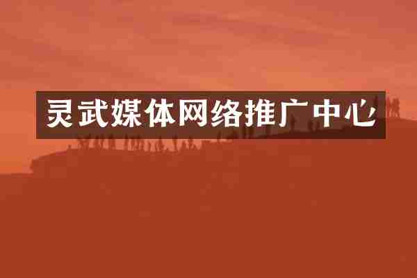 灵武媒体网络推广中心