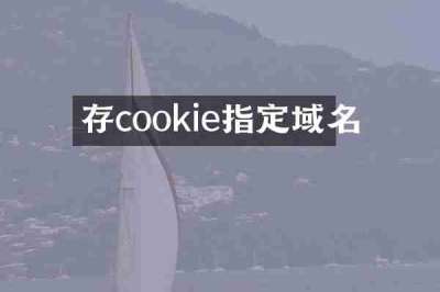 存cookie指定域名