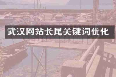 武汉网站长尾关键词优化