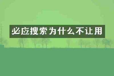 必应搜索为什么不让用