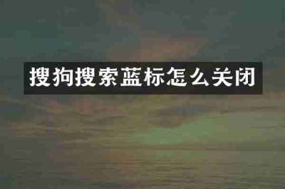 搜狗搜索蓝标怎么关闭