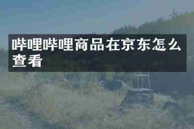 哔哩哔哩商品在京东怎么查看