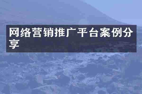 网络营销推广平台案例分享