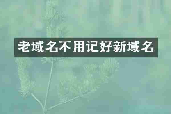 老域名不用记好新域名