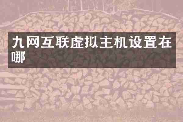 九网互联虚拟主机设置在哪