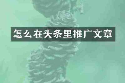 怎么在头条里推广文章