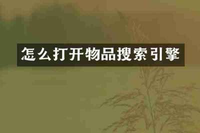 怎么打开物品搜索引擎