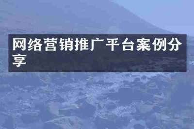 网络营销推广平台案例分享