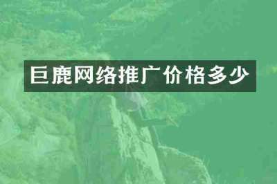 巨鹿网络推广价格多少