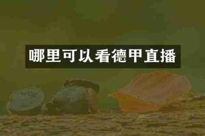 哪里可以看德甲直播
