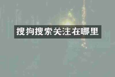 搜狗搜索关注在哪里