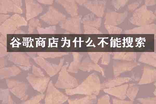 谷歌商店为什么不能搜索