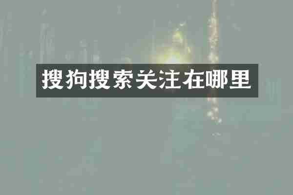 搜狗搜索关注在哪里
