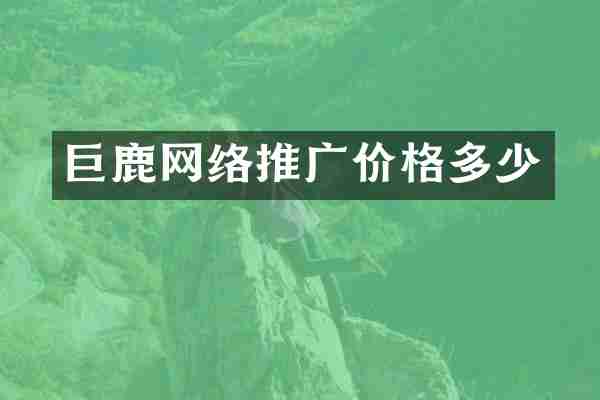 巨鹿网络推广价格多少