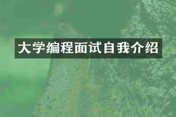 大学编程面试自我介绍