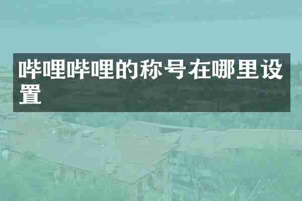 哔哩哔哩的称号在哪里设置