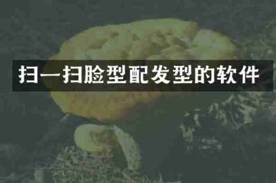 扫一扫脸型配发型的软件