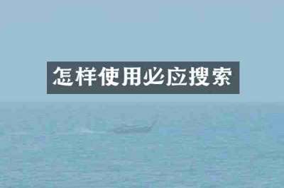 怎样使用必应搜索